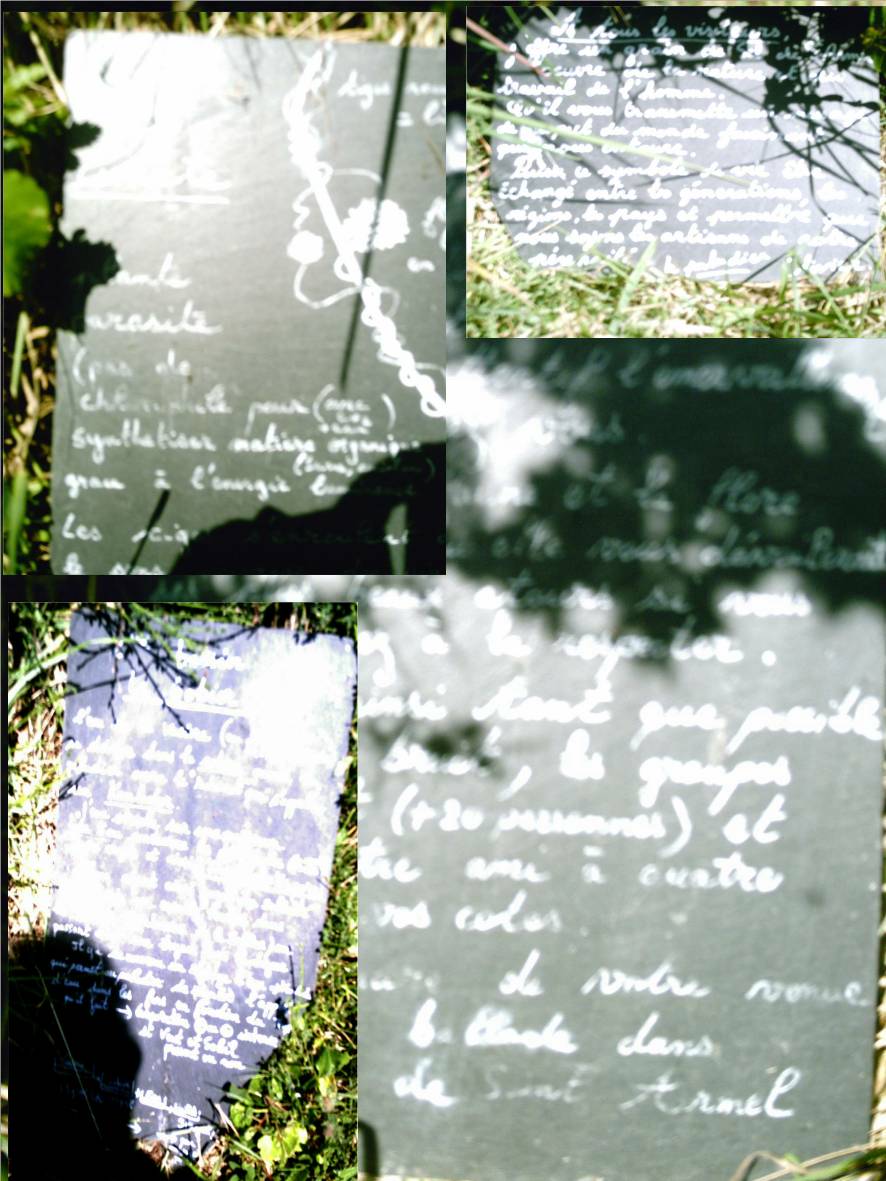 golfmorbihan 00006.JPG